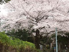 仰高小のある街 ３.jpg
