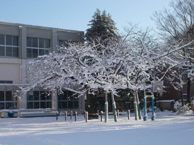 雪１