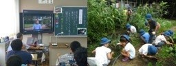 02.jpg