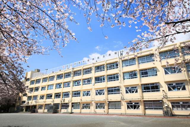 校舎と桜
