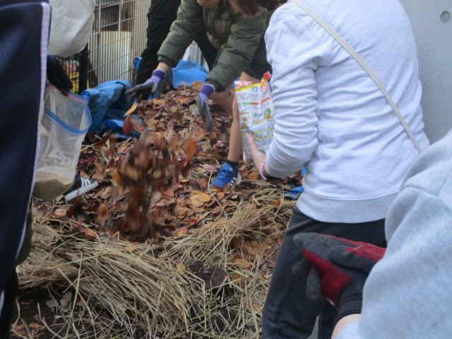 バイオネスト作り３