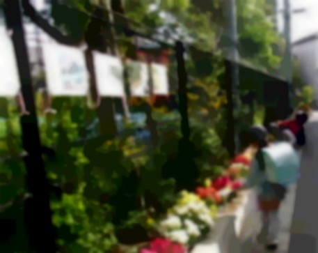 水やりする３年生