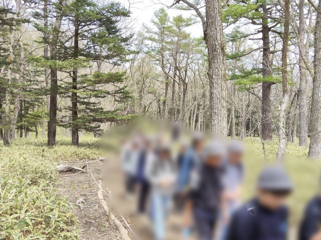 自然の中を歩く