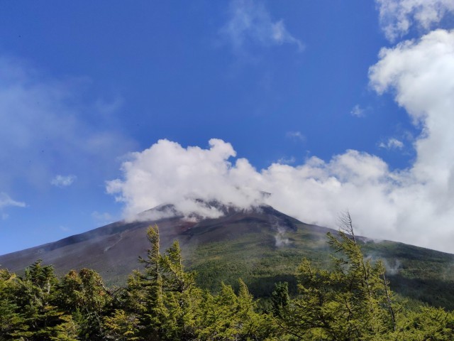 富士山