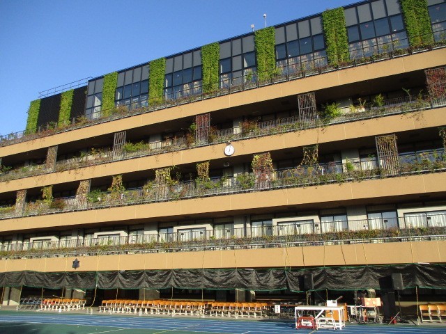 運動会実施１