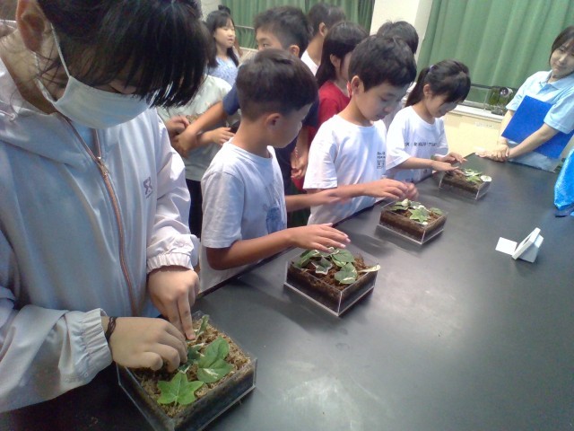 水道水源林の土をさわりました