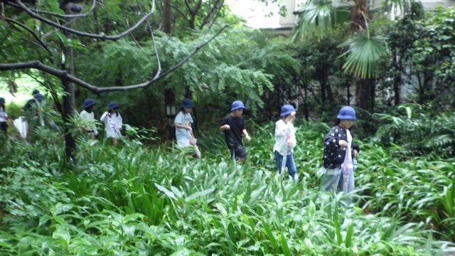 池袋の森を散策中