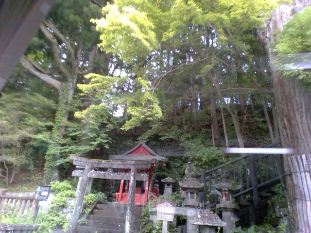 日光東照宮・太郎杉