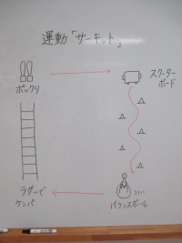 運動「サーキット」