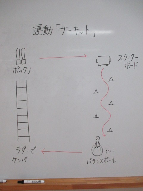 運動「サーキット」