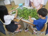 一生懸命さや取りをしている様子