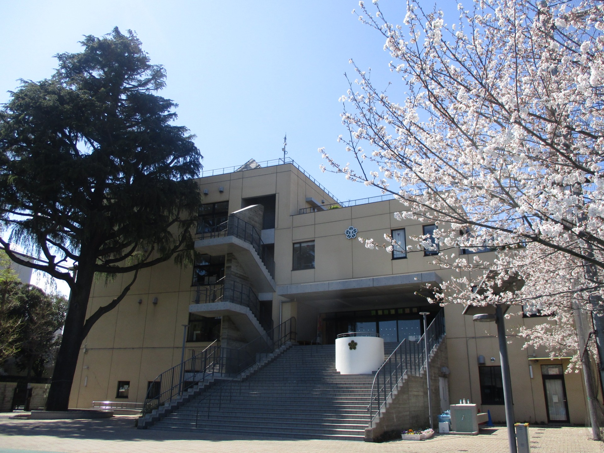 春の目白小学校