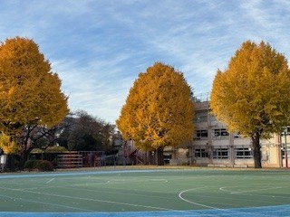 thumbnail_IMG_5076.jpg