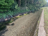 湧き水が集まった牛渡川