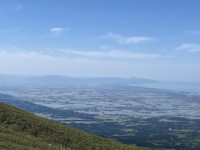 5月の田んぼ（稲を植えたばかり）