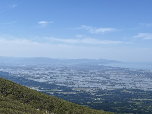 5月の田んぼ（稲を植えたばかり）