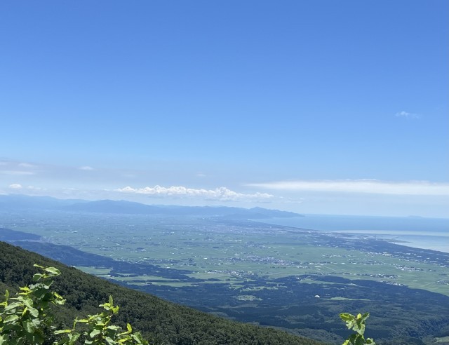 8月の田んぼ（緑のところが田んぼです。）