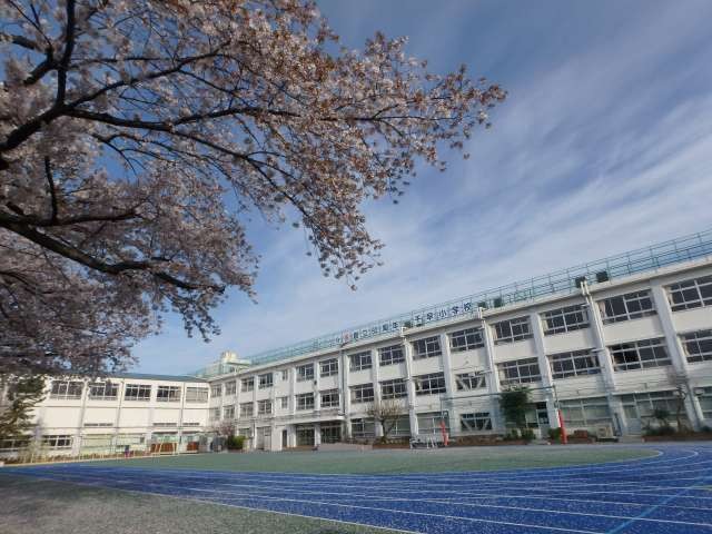 f58f96031a8ed91.jpg