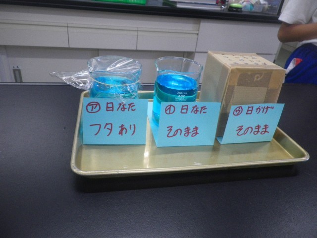 教室で経過観察します